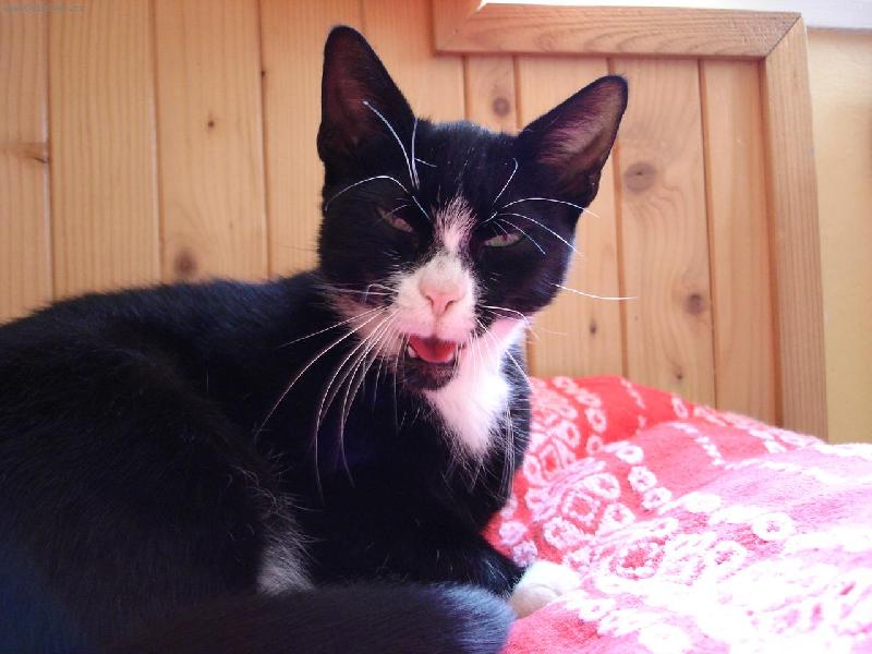 Foto: Z���v�����m:D