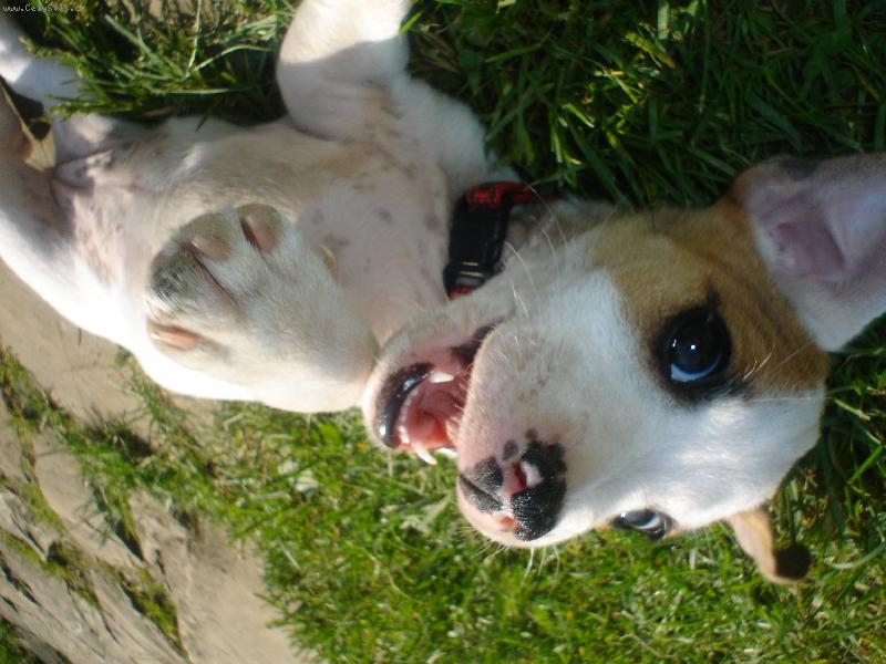 Foto: Ahojky :)-Phoebe