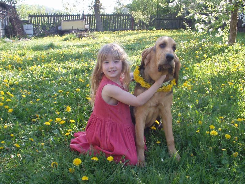 Foto: Velk� kamar�dky-Blair Iseb