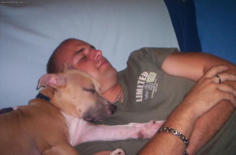 Foto: Arn�sek-Jak spink�