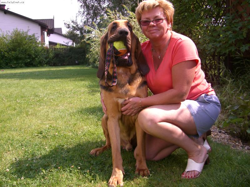 Foto: Verdel Alhavant-mlad� �ert�k