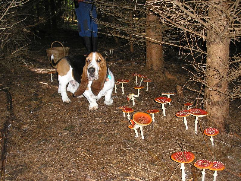 Foto: To je �rodi�ka