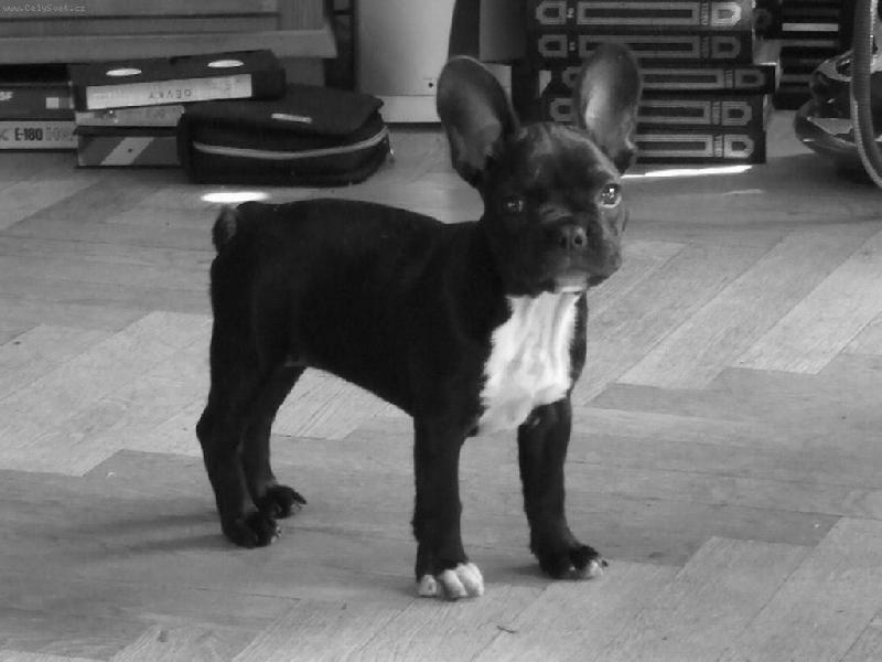 Foto: Aini-Muj cunik:o)