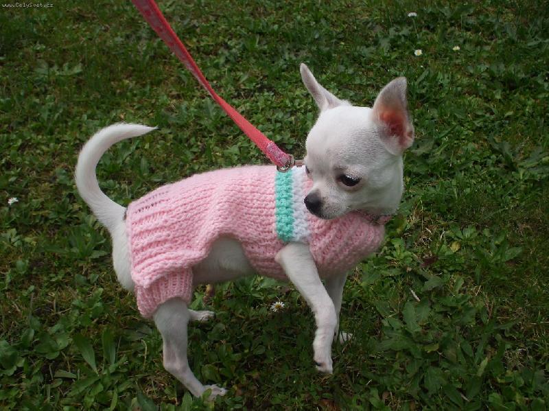 Foto: Jassinka ve svet���ku