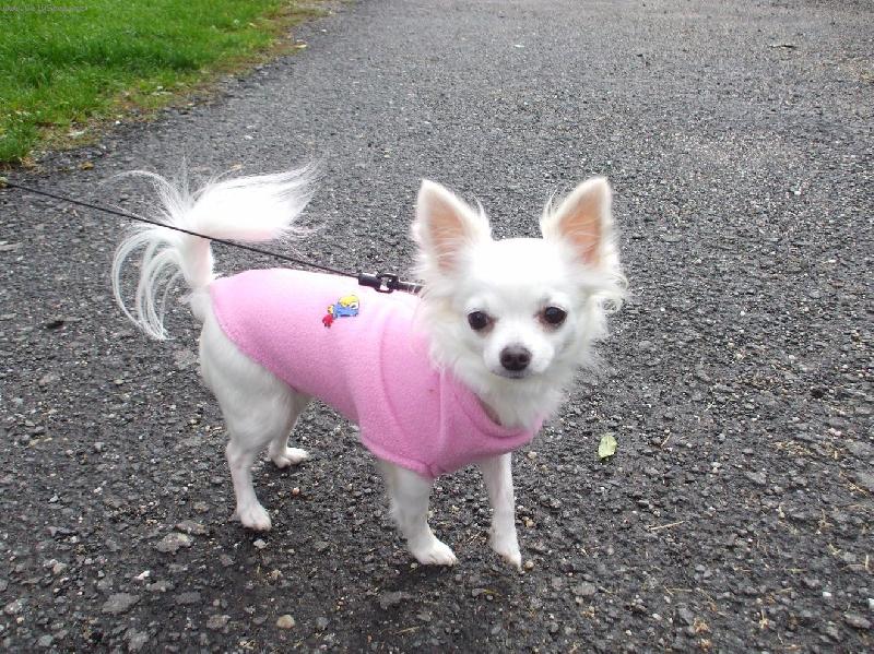 Foto: Terinka v oble�ku