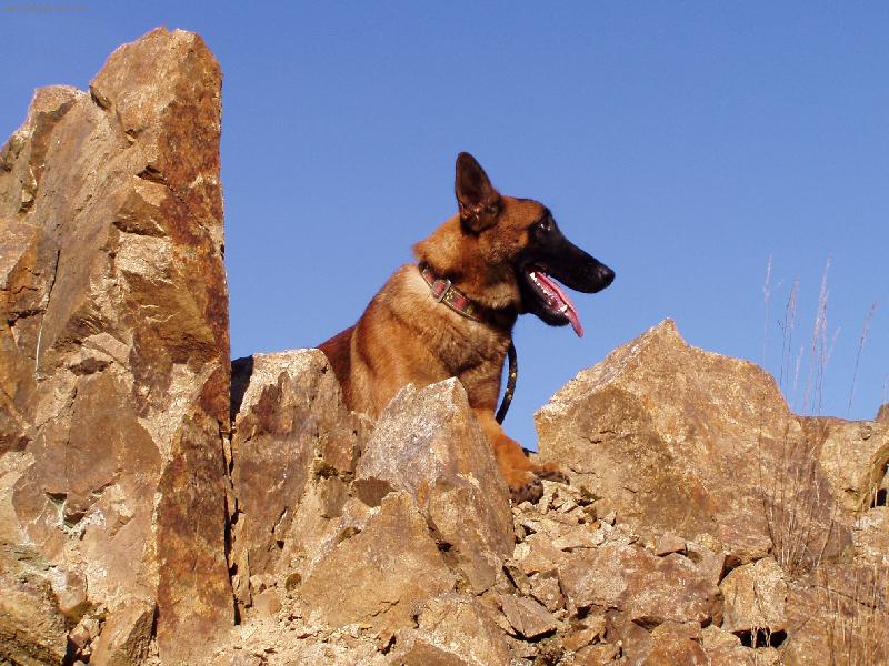 Foto: Bax od Mlazick�ch t�n�