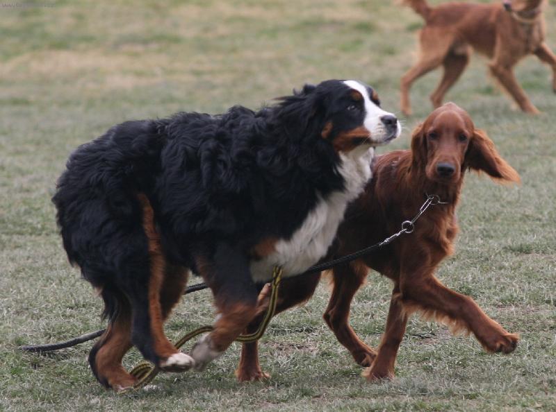 Foto: Scotty-K�mo�i