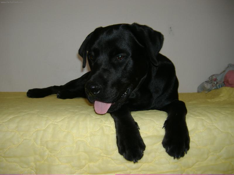 Foto: Sid-9 m�s�c�