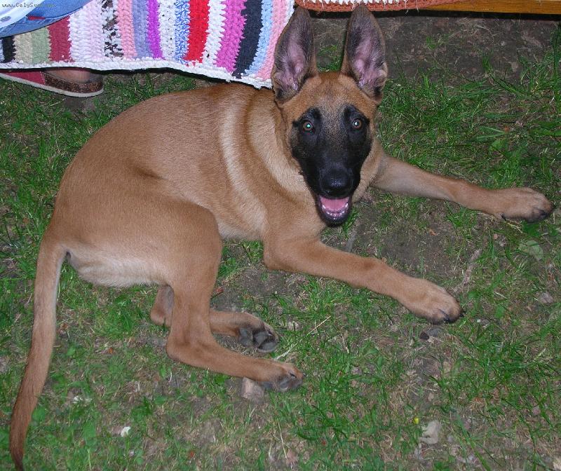 Foto: moje srd��ko....