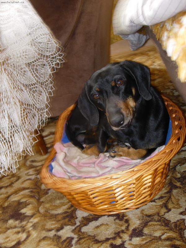 Foto: Rone�ek-V pel�ku je dob�e :)