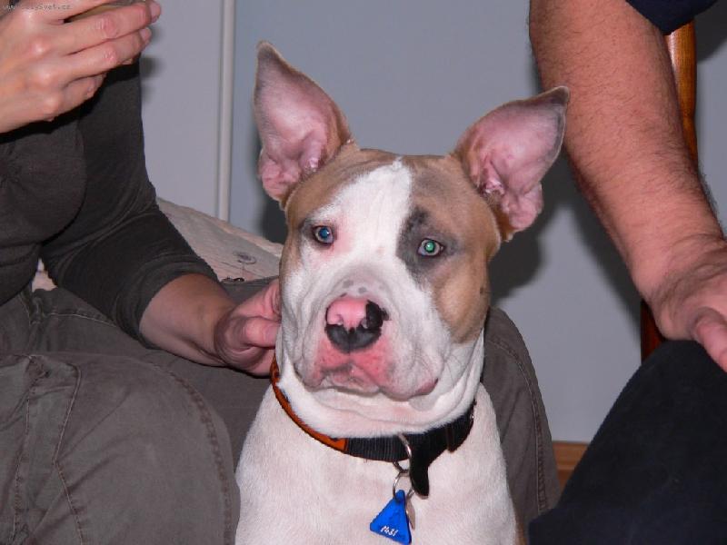 Foto: BRUS-U� JSEM VYROSTL