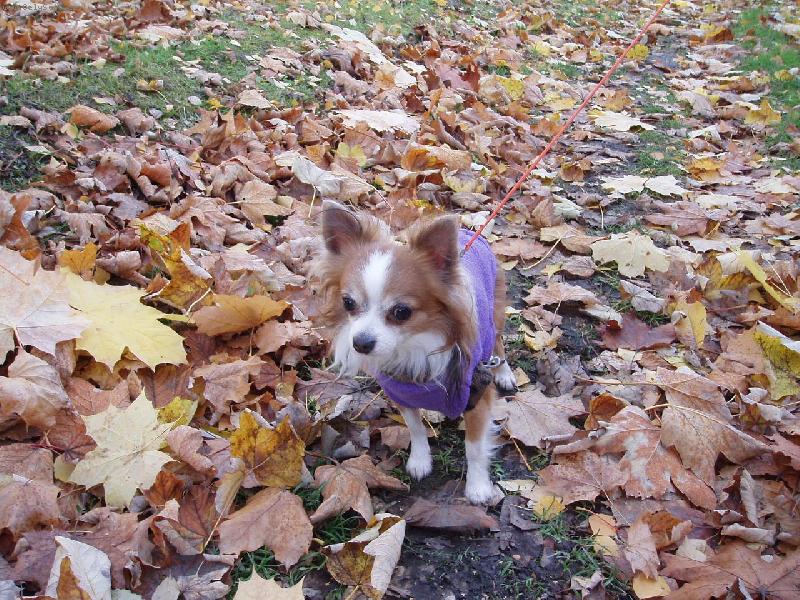 Foto: Kry�tofek venku