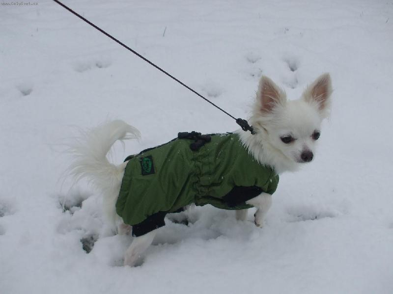 Foto: Terinka ve sn�hu