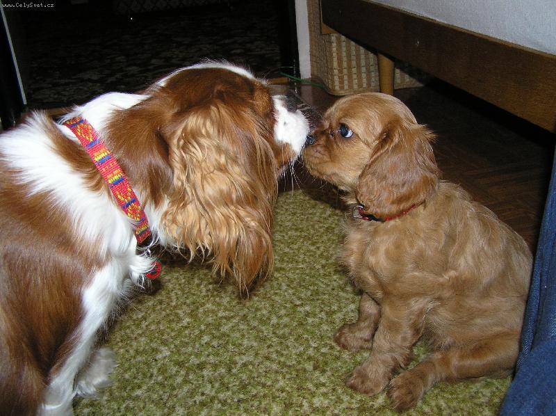 Foto: Lilka s Anetkou