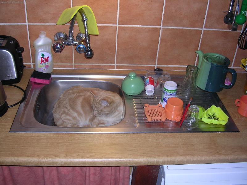 Foto: B�RT SPINK�-Sp�t se d� v�ude