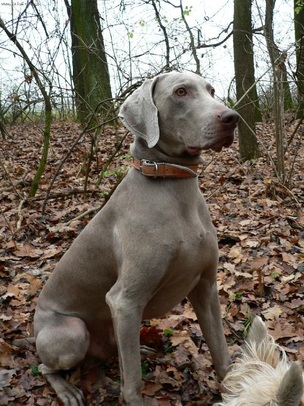 Foto: Kary z Roketn�k�