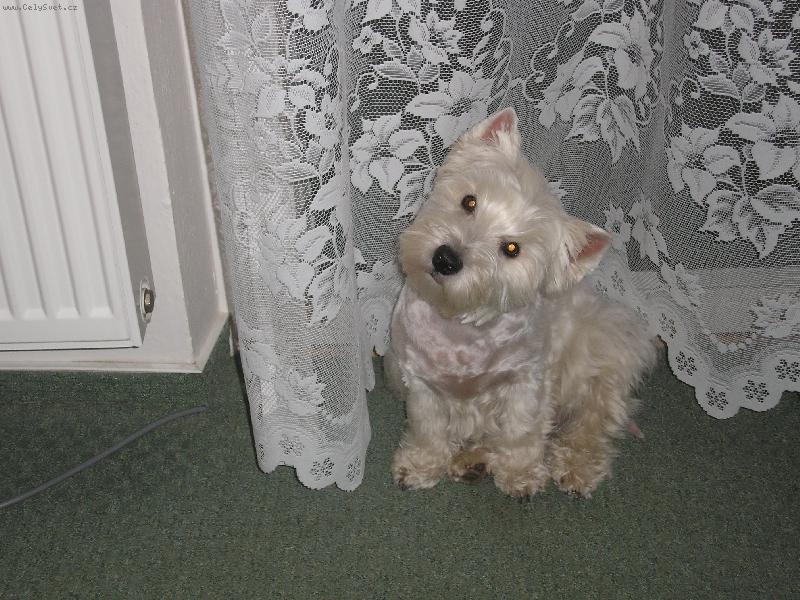 Foto: �anetka-modelka