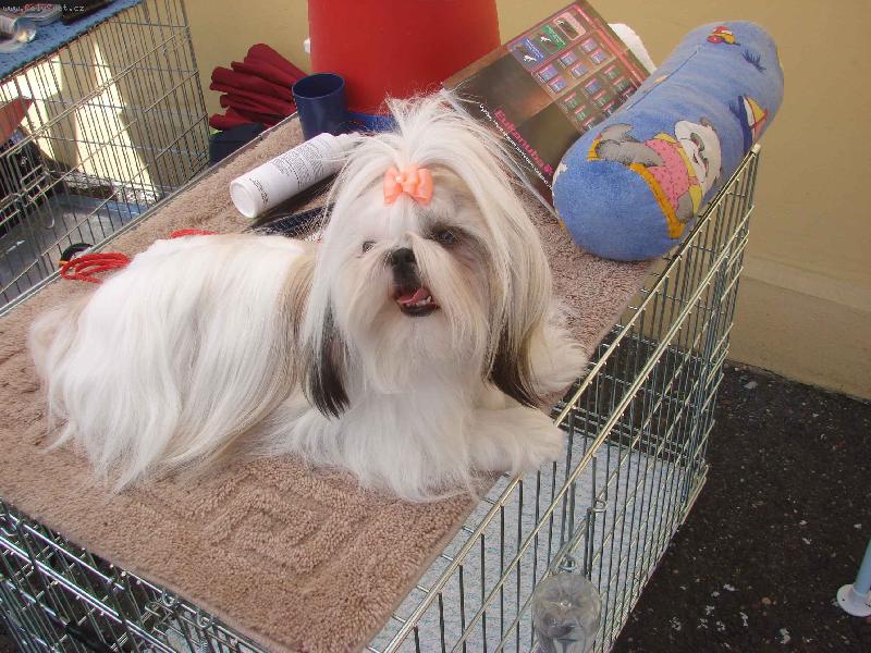 Foto: Roz�rka z Ivafre