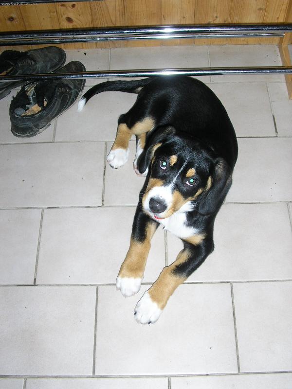 Foto: Jackie from Balihara Ranch