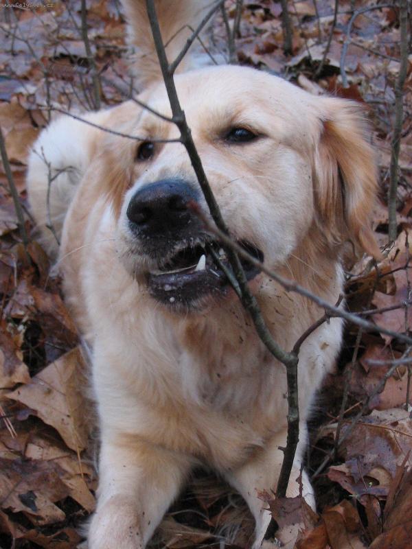 Foto: Besinka-Na proch�zce