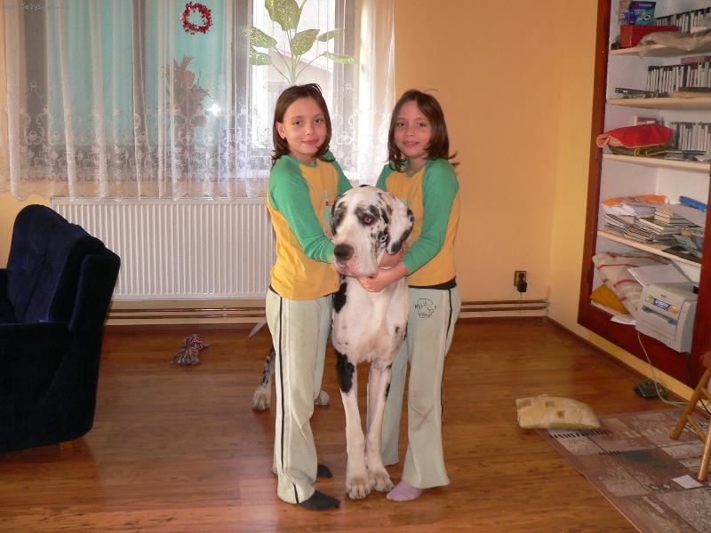 Foto: Orin a dvoj�ata