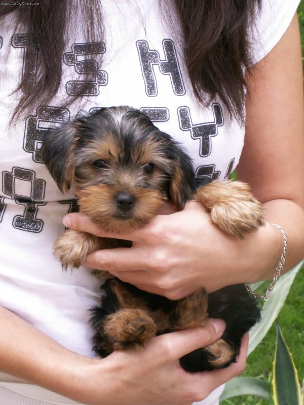 Foto: je�t� jako miminko...