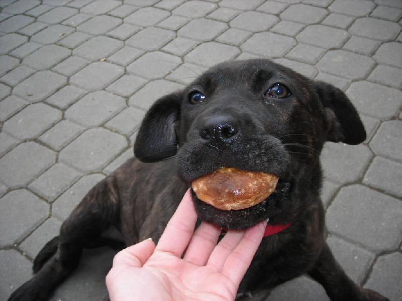 Foto: matylda-matylda