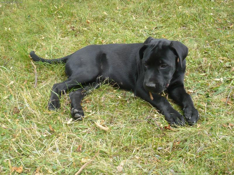 Foto: Ares Natalis-3 m�s�ce