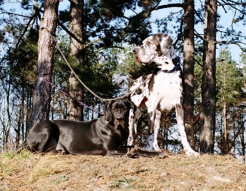 Foto: R��ena a Jon�