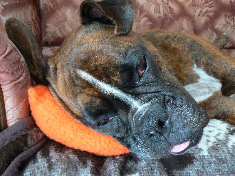 Foto: Neru�it, sp�m!