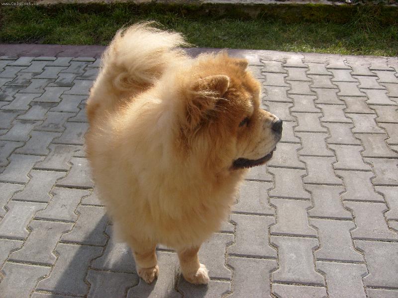 Foto: Ustora Haltrava