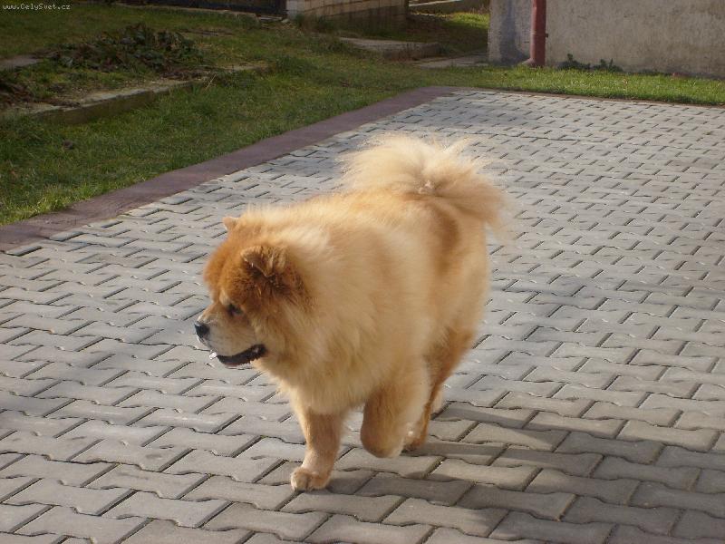 Foto: Ustora Haltrava