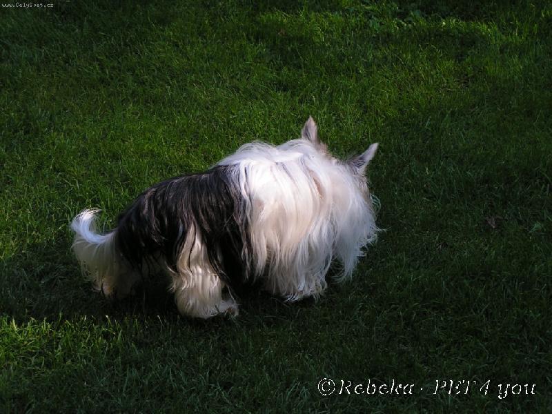 Foto: venku-Kend�k