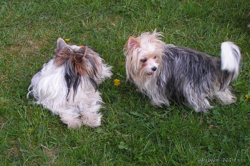 Foto: Sarah a Snoopy