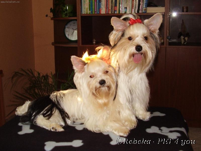 Foto: Kendy a Snoopy