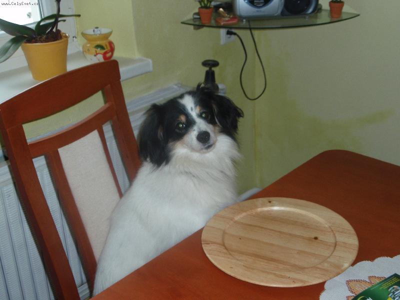 Foto: Tak kde je ta kachna?