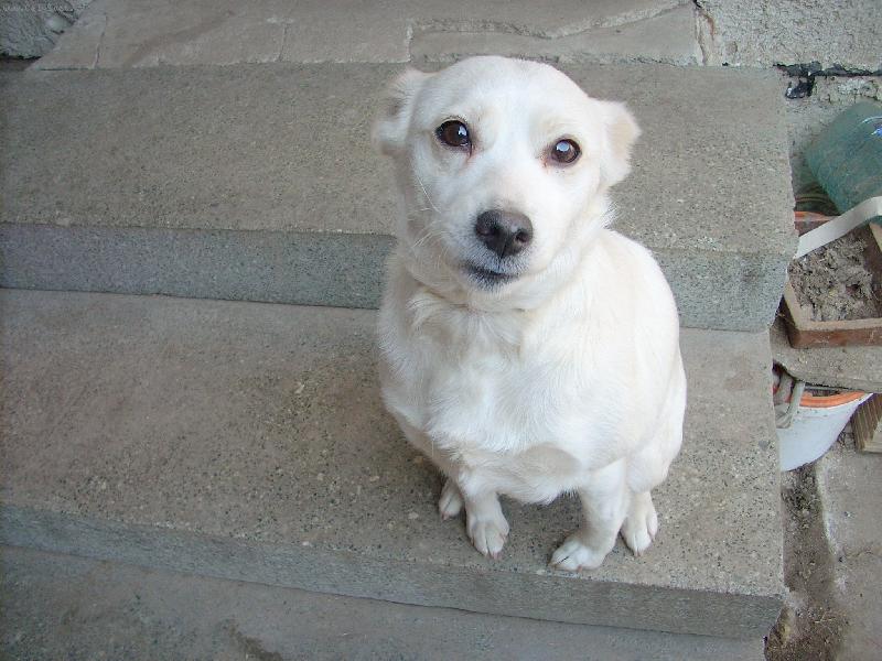 Foto: M�a-�ek�m co my d�