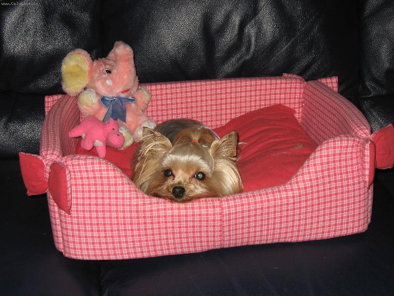 Foto: Beru�ka-a nemluv�m s v�ma