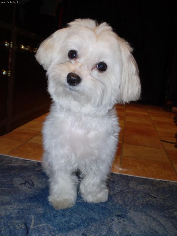 Foto: Bety je ost��hana