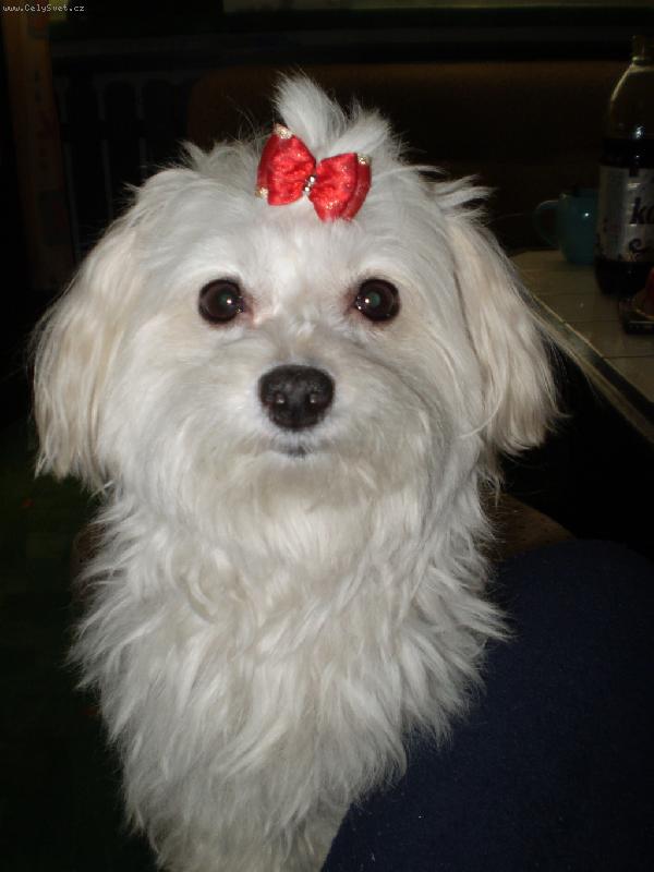 Foto: Bety je na�an�an�