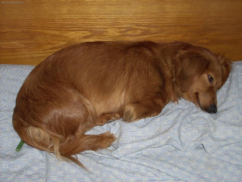 Foto: Nelinka-odpo�inek