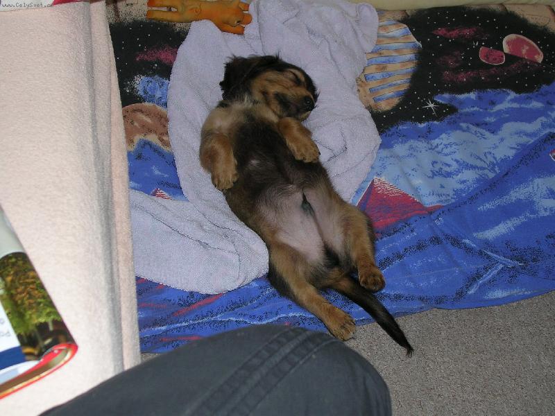 Foto: Bene�ek-Po ob�dku