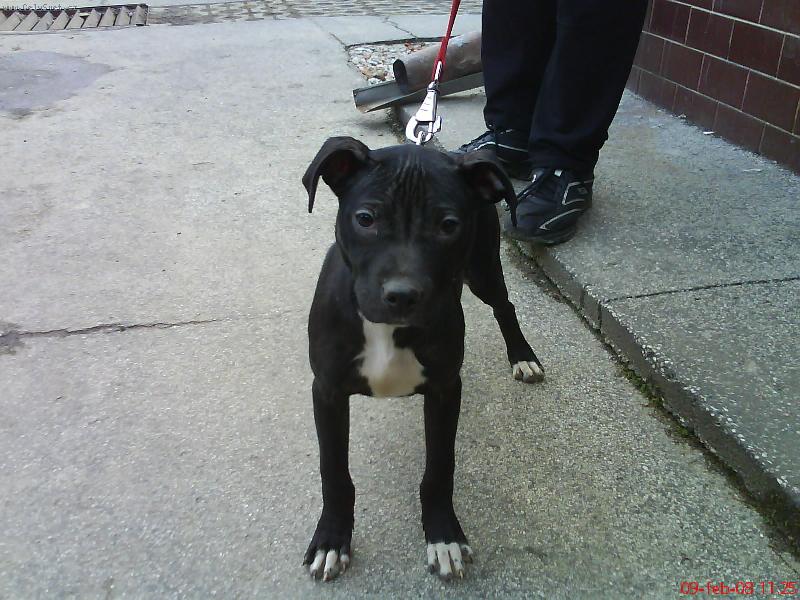 Foto: Sheila-trhac :D