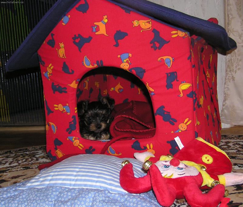 Foto: Na�e 7t�denn� Fifnka