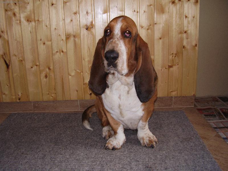 Foto: Sally-kouk�m, kouk�m .....