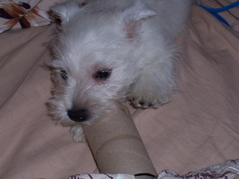 Foto: to jsem j�,kdy� jsem byl mal�