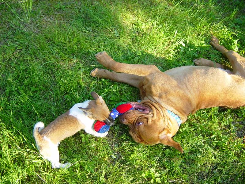 Foto: P�etahovan�