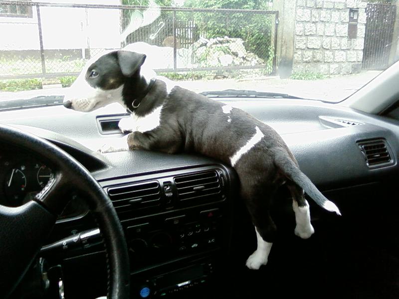 Foto: Sally-Kapit�nka lodi :-)