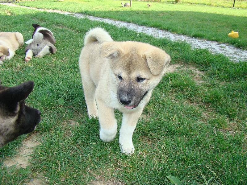 Foto: Archi-jsem je�t� mimi