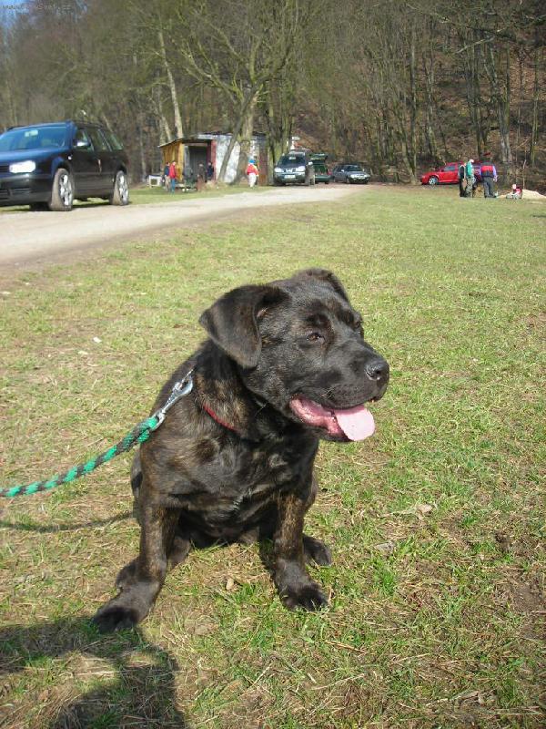 Foto: matylda-matylda